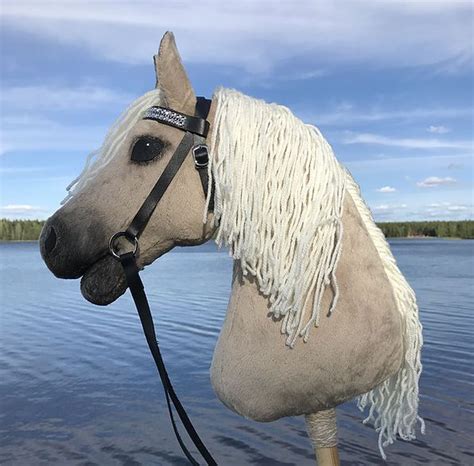baumi horses|Info .